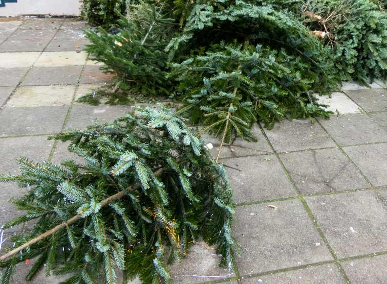 Was bleibt von Weihnachten, wenn der Heilige Abend vorbei ist? von Michael Scharf