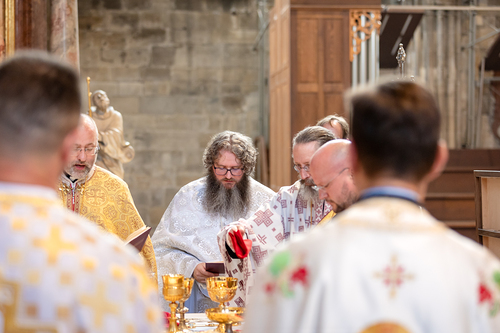 Priesterweihe Byzantinischer Ritus im Stephansdom / Erzdiözese Wien/ Schönlaub