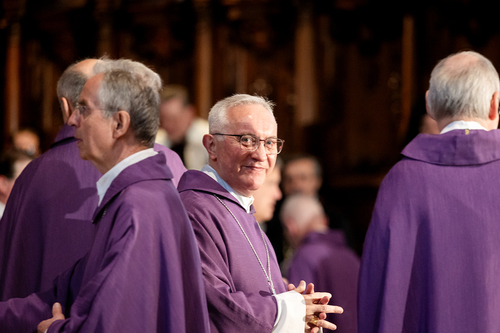 Stephansdom: Österreich nahm Abschied von Papst Franziskus / Erzdiözese Wien/ Schönlaub, Stephan Schönlaub Stephansdom: Österreich nahm Abschied von Papst Franziskus