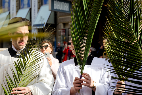 2025 Palmsonntag / Erzdiözese Wien/ Schönlaub, Stephan Schönlaub