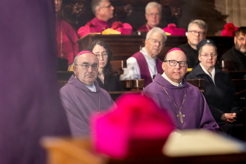 Stephansdom: Österreich nahm Abschied von Papst Franziskus / Erzdiözese Wien/ Schönlaub, Stephan Schönlaub Stephansdom: Österreich nahm Abschied von Papst Franziskus