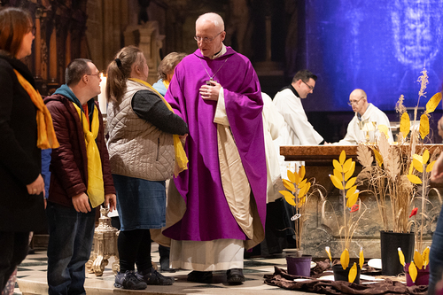 WDST 2024 im Stephansdom / Erzdiözese Wien/Schönlaub