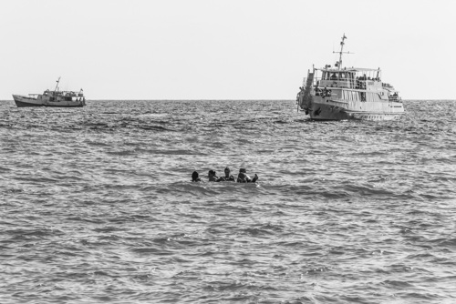 Symbolfoto Migration über das Meer. / iSTock/Andrei Yurevich Solovev, gutaper Symbolfoto Migration über das Meer.