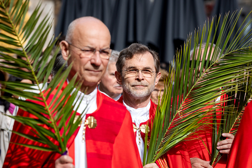 2025 Palmsonntag / Erzdiözese Wien/ Schönlaub, Stephan Schönlaub