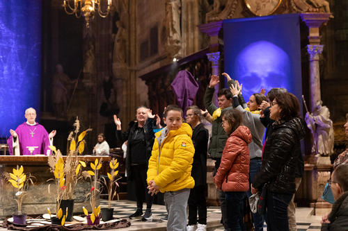 WDST 2024 im Stephansdom / Erzdiözese Wien/Schönlaub