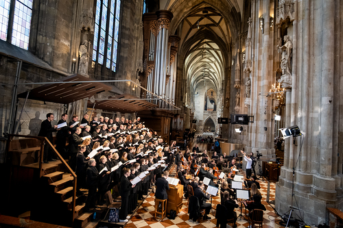 Stephansdom: Österreich nahm Abschied von Papst Franziskus / Erzdiözese Wien/ Schönlaub, Stephan Schönlaub Stephansdom: Österreich nahm Abschied von Papst Franziskus