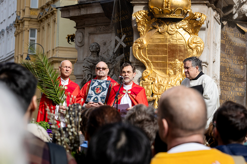 2025 Palmsonntag / Erzdiözese Wien/ Schönlaub, Stephan Schönlaub
