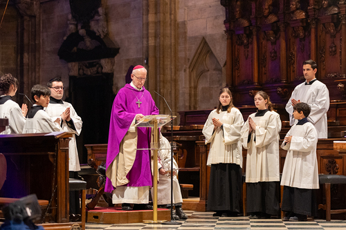 WDST 2024 im Stephansdom / Erzdiözese Wien/Schönlaub