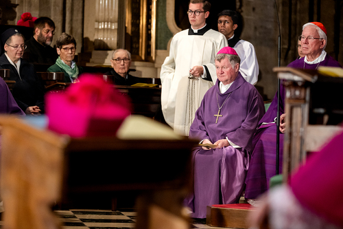 Stephansdom: Österreich nahm Abschied von Papst Franziskus / Erzdiözese Wien/ Schönlaub, Stephan Schönlaub Stephansdom: Österreich nahm Abschied von Papst Franziskus