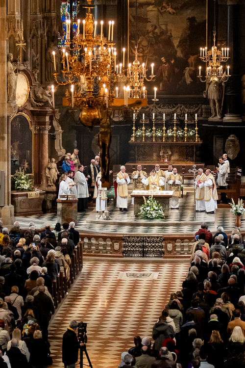 Allerheiligen Stephansdom / Erzdiözese Wien/Schönlaub, Stephan Schönlaub Allerheiligen Stephansdom